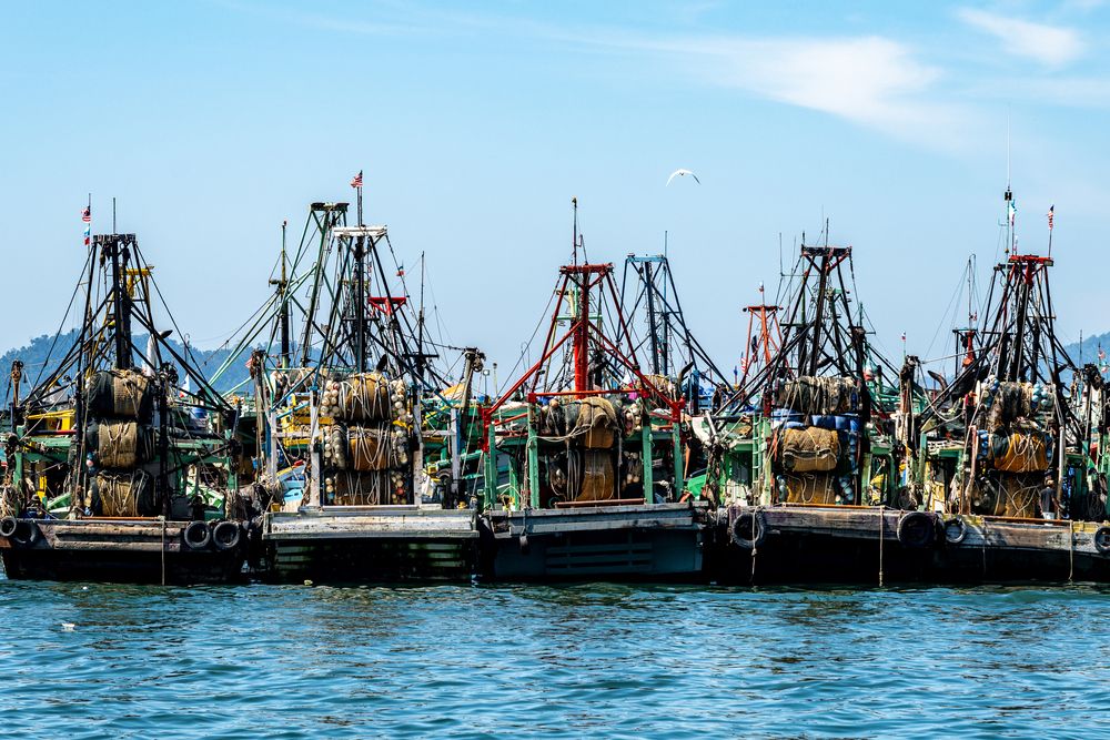 Photograph by Antonín Dudek