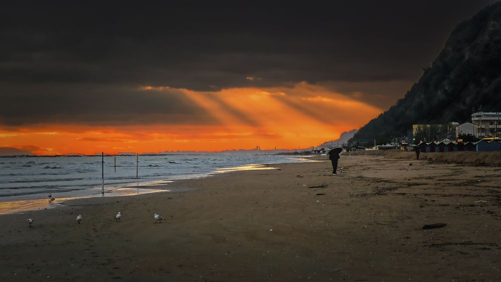 Photograph by Denis Cristian BURMELEAC