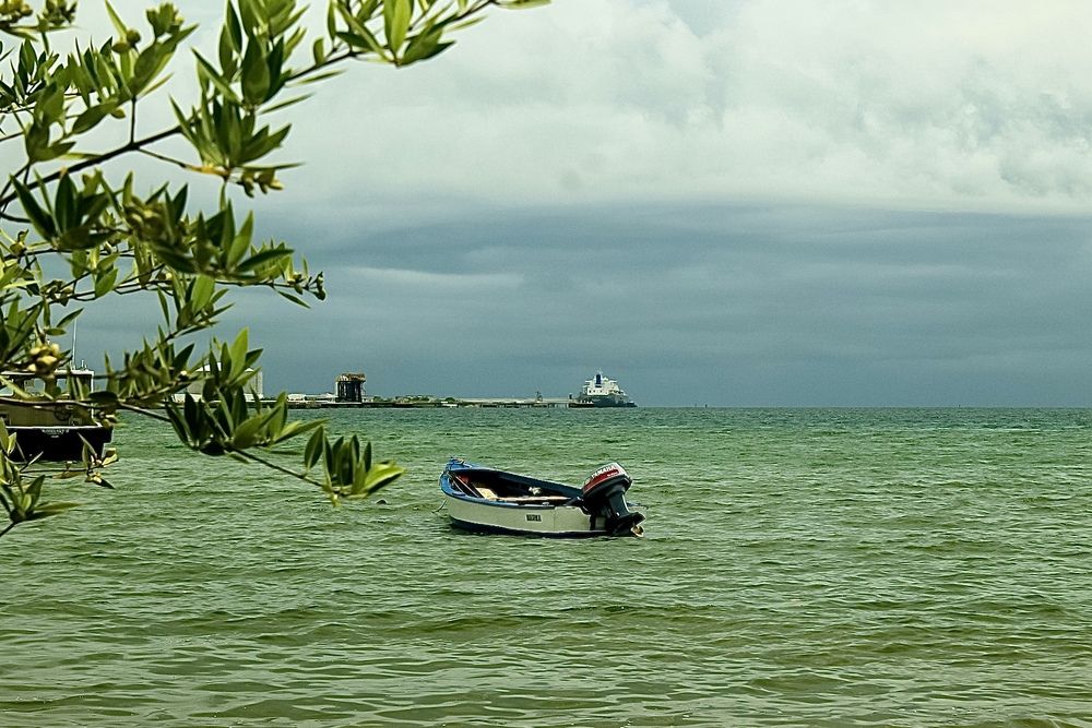 Фотография автора Jose Otero