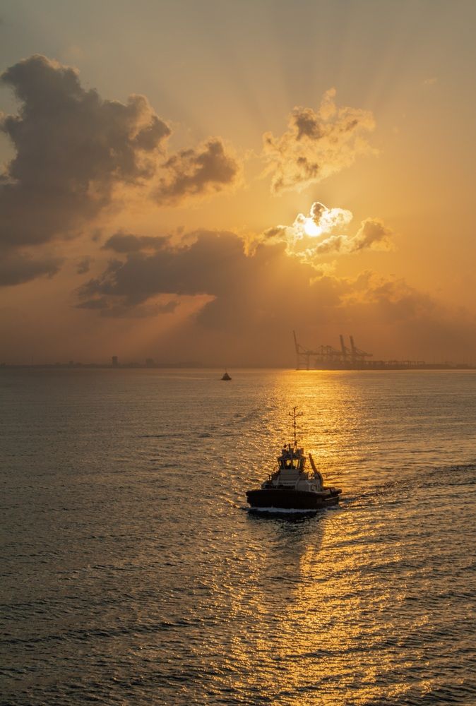 В лучах рассвета.