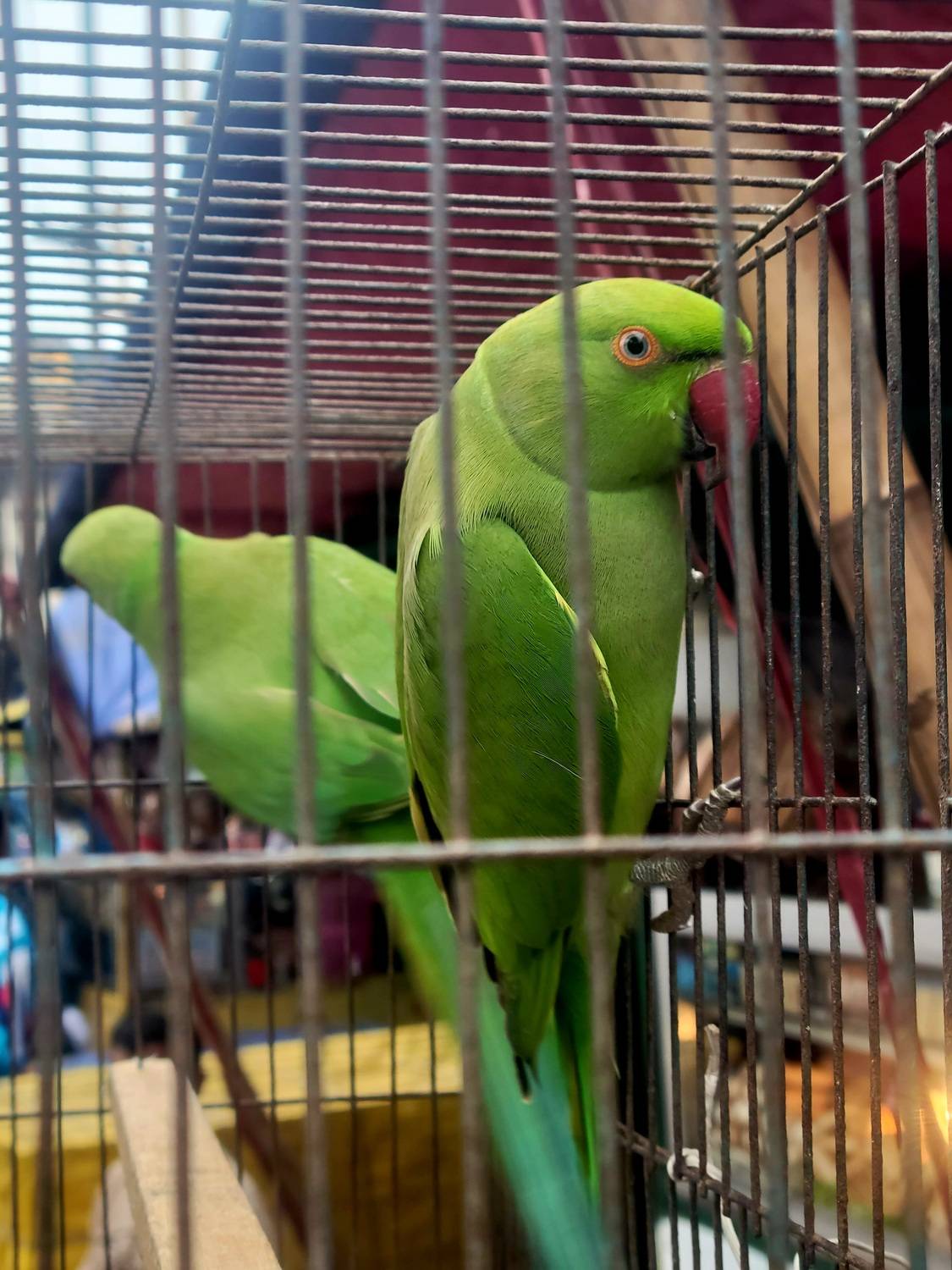 Photo #12875271