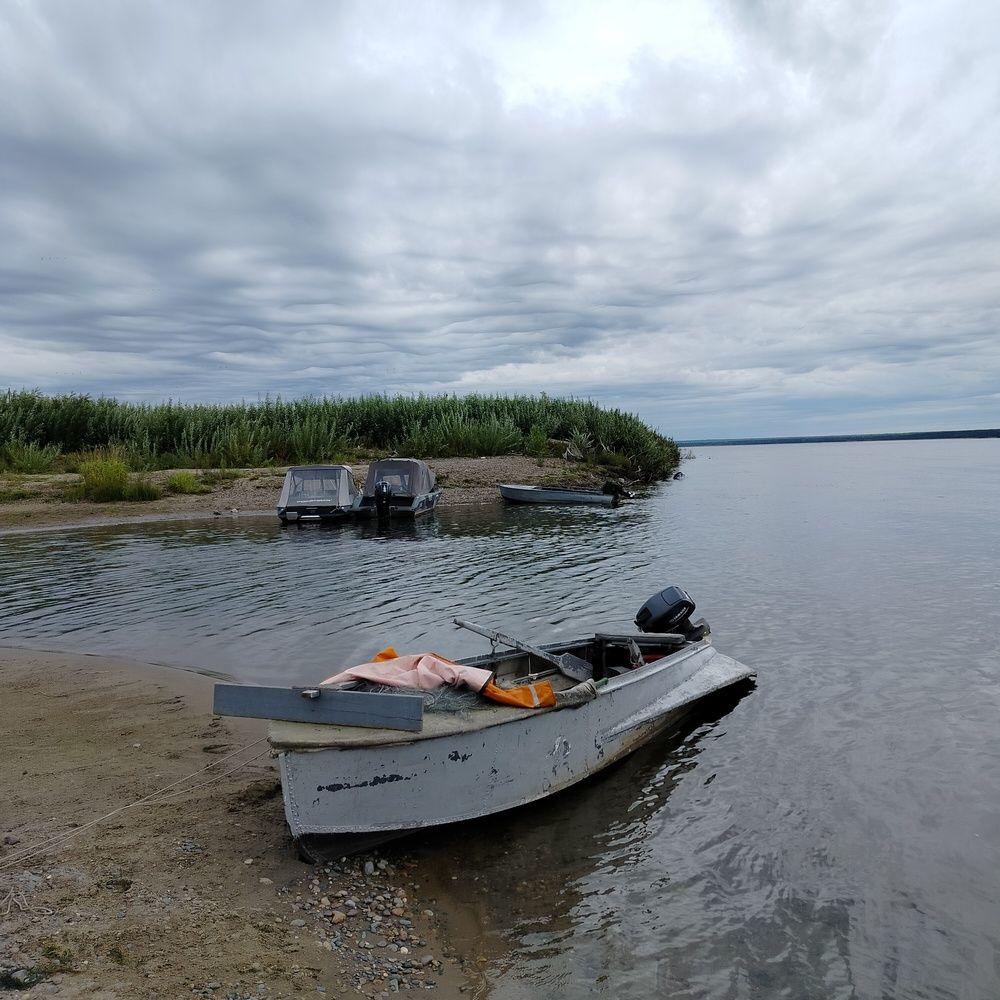 Photograph by Анастасия Горбачева