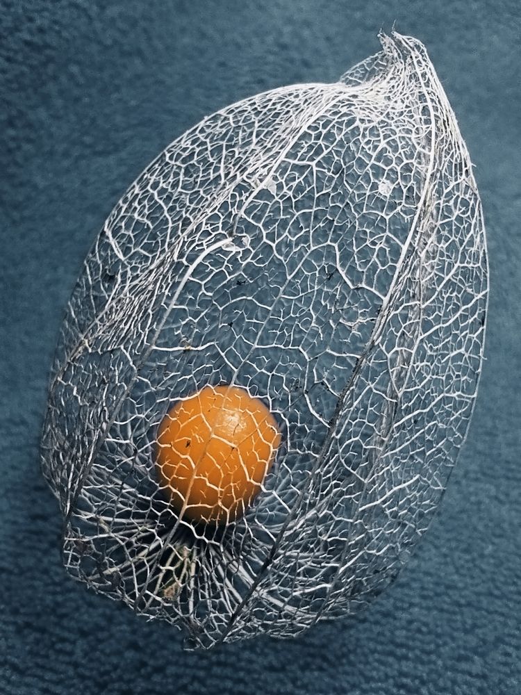 Хрупкость бытия