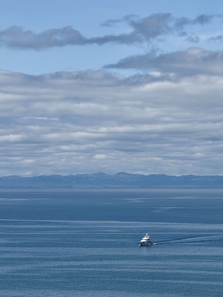 Фотография автора Елена Меньшикова