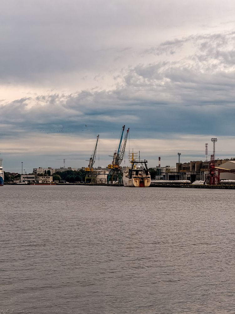 Фотография автора Елена Меньшикова