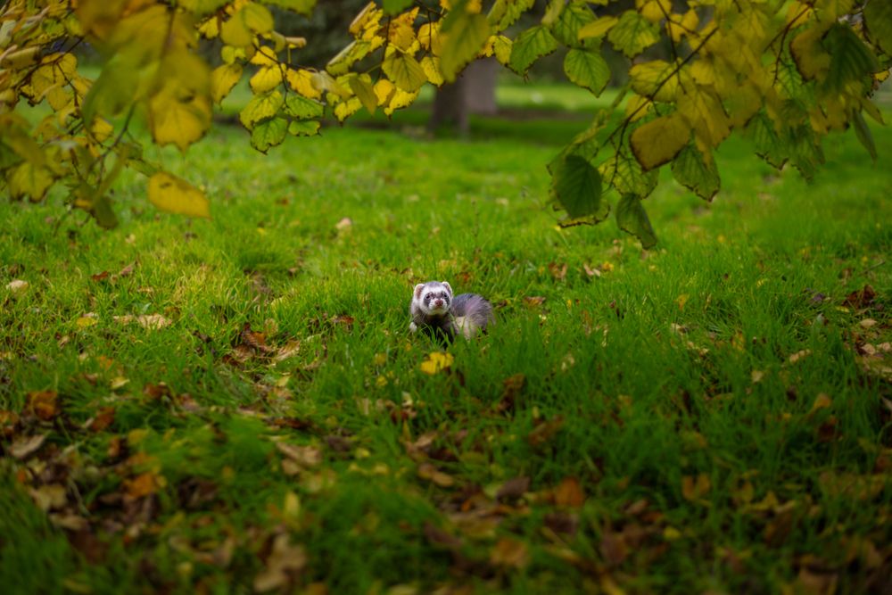 Photograph by Кирилл Ермоленко