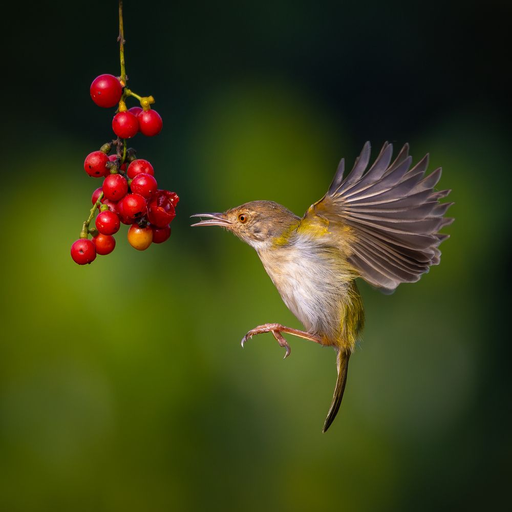 Photograph by Aritra Nath