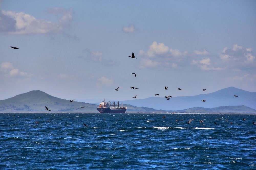 Фотография автора Наталия Мащенко