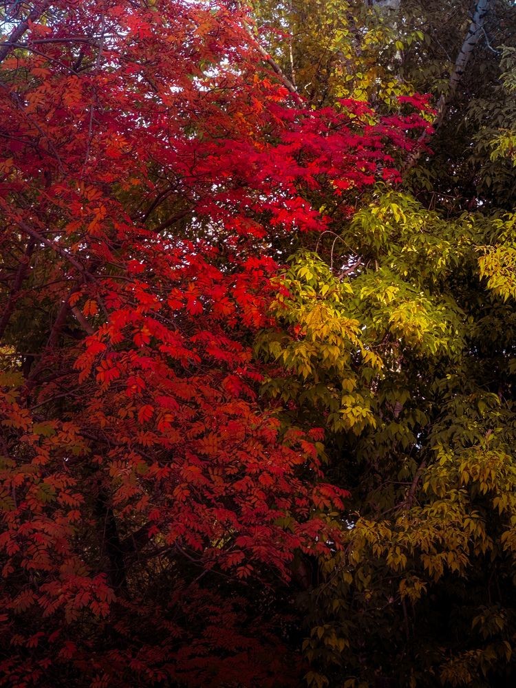 Photograph by Бороздина Мария