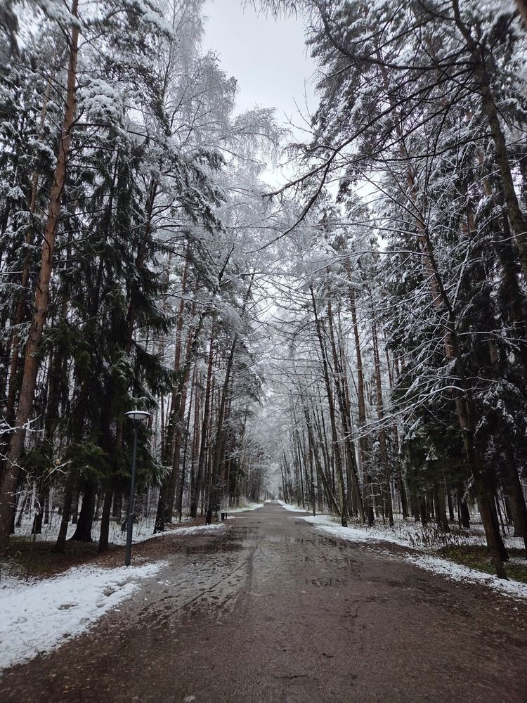 Photograph by Дарья Булавина