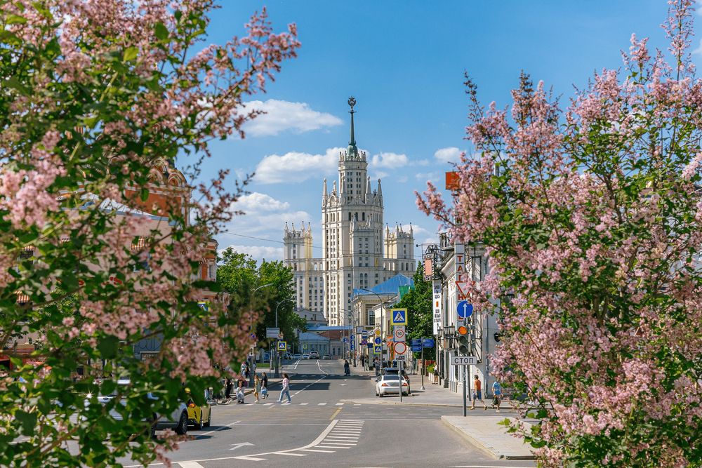 Фотография автора Vladimir Kostyria