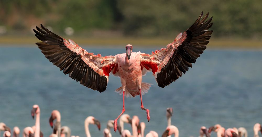 Photograph by Shreyas Patil