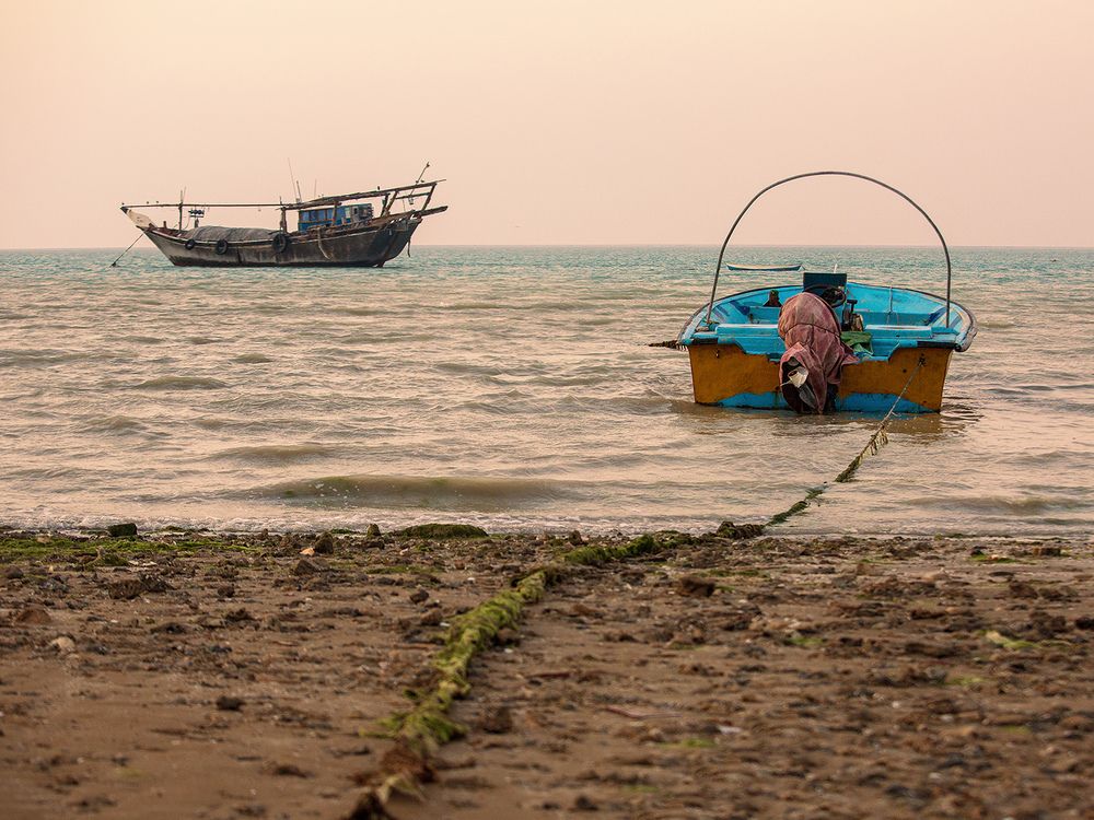 Фотография автора Mohsen Raeiszadeh