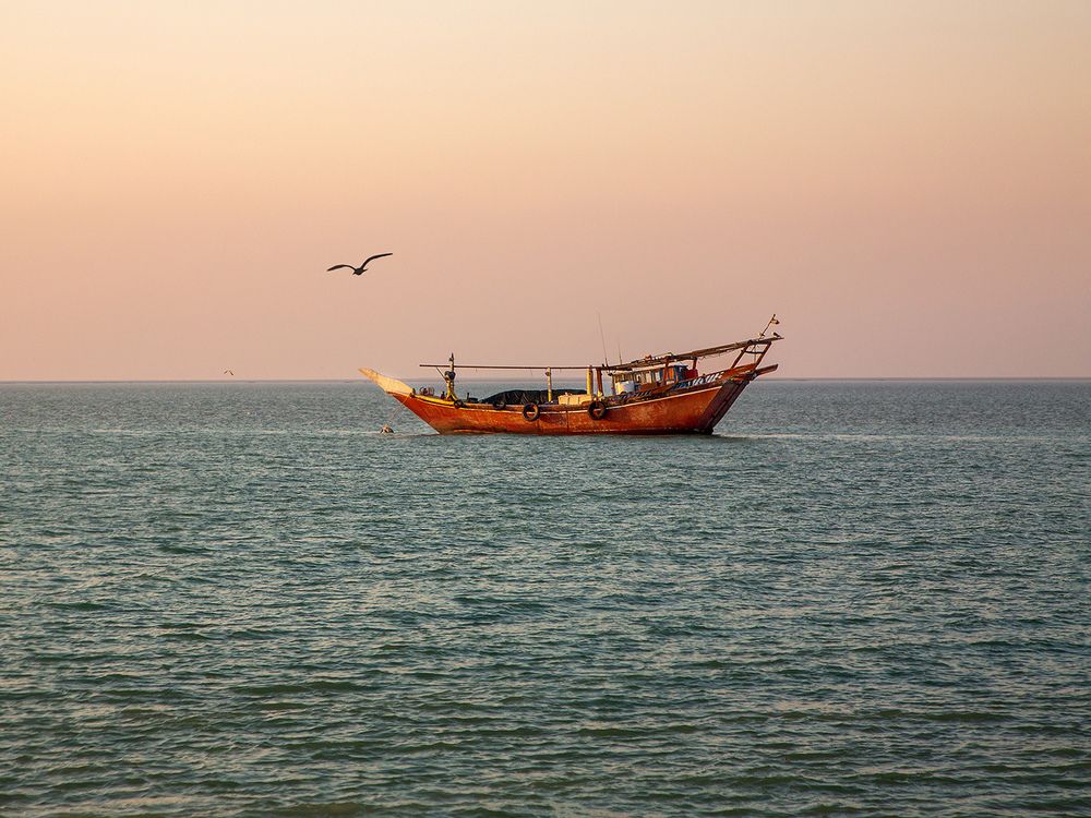 Фотография автора Mohsen Raeiszadeh