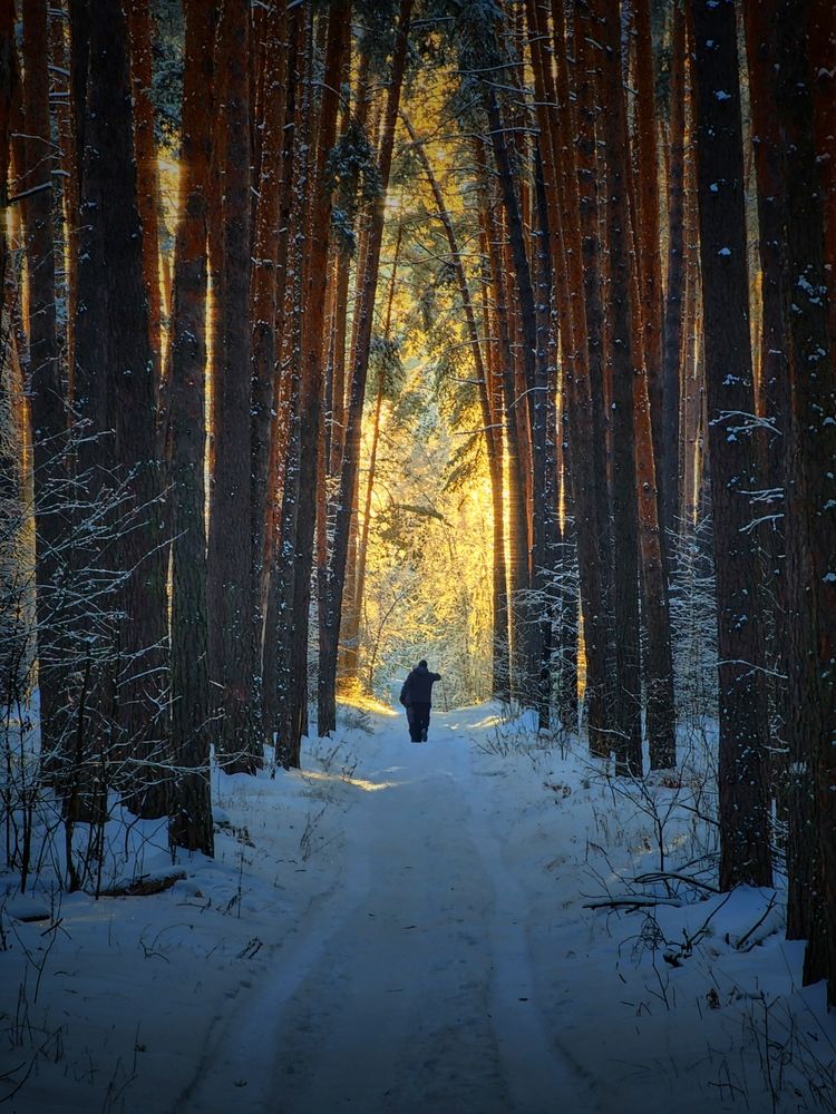 Photograph by Konstantin Martynov