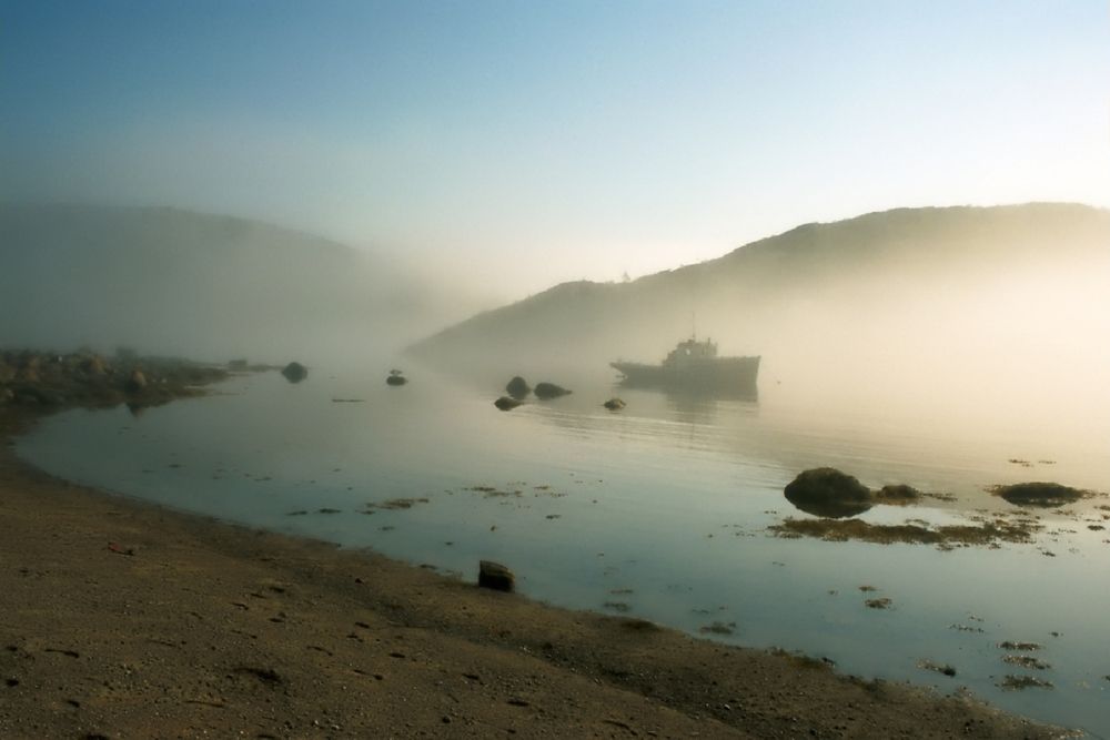 Утренний туман