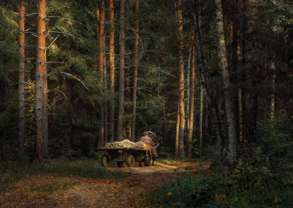 Photograph by Алексеев Дмитрий