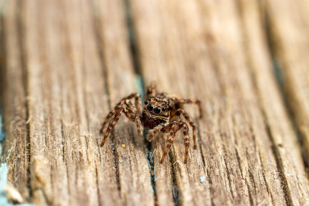 Photograph by Никита Иванов