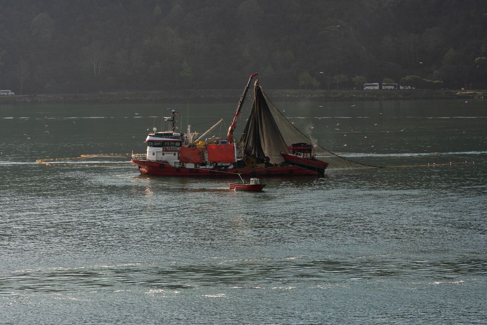 Photograph by Захаров Максим