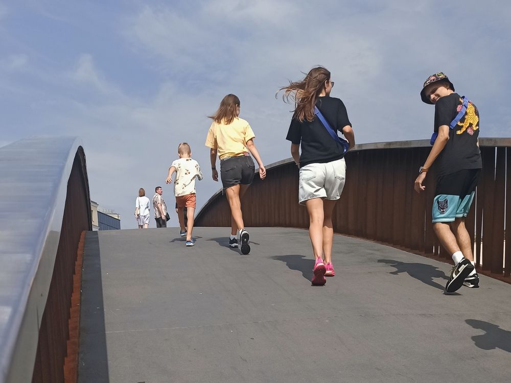 Сопровождающий