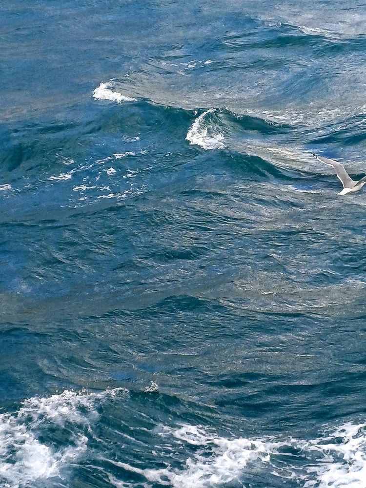 Фотография автора Наталья Григорьева