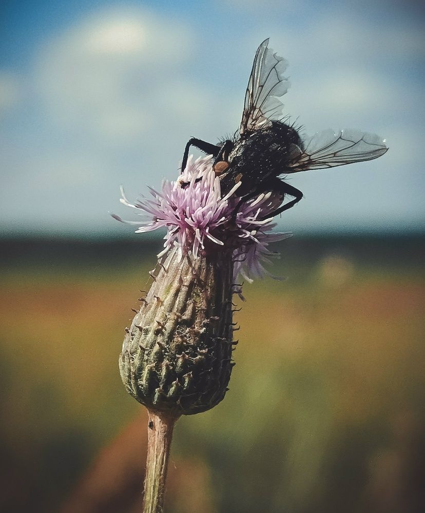 Photograph by Ольга Давыдова