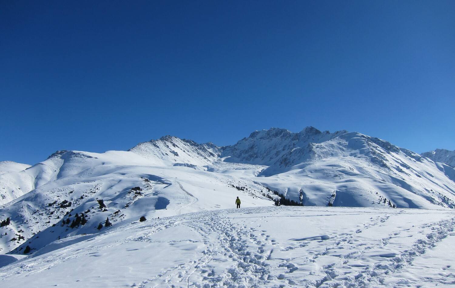 Photo #12876404