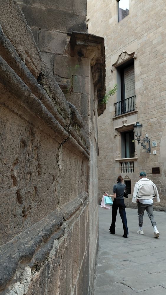 Photo #12876467