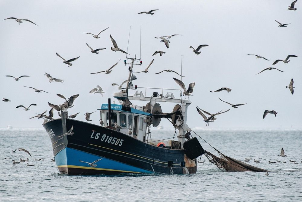 Photograph by Evgeniya Stafeeva