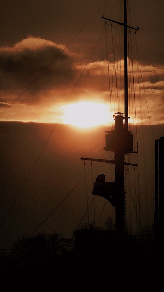 Photograph by Наталья Тополевская