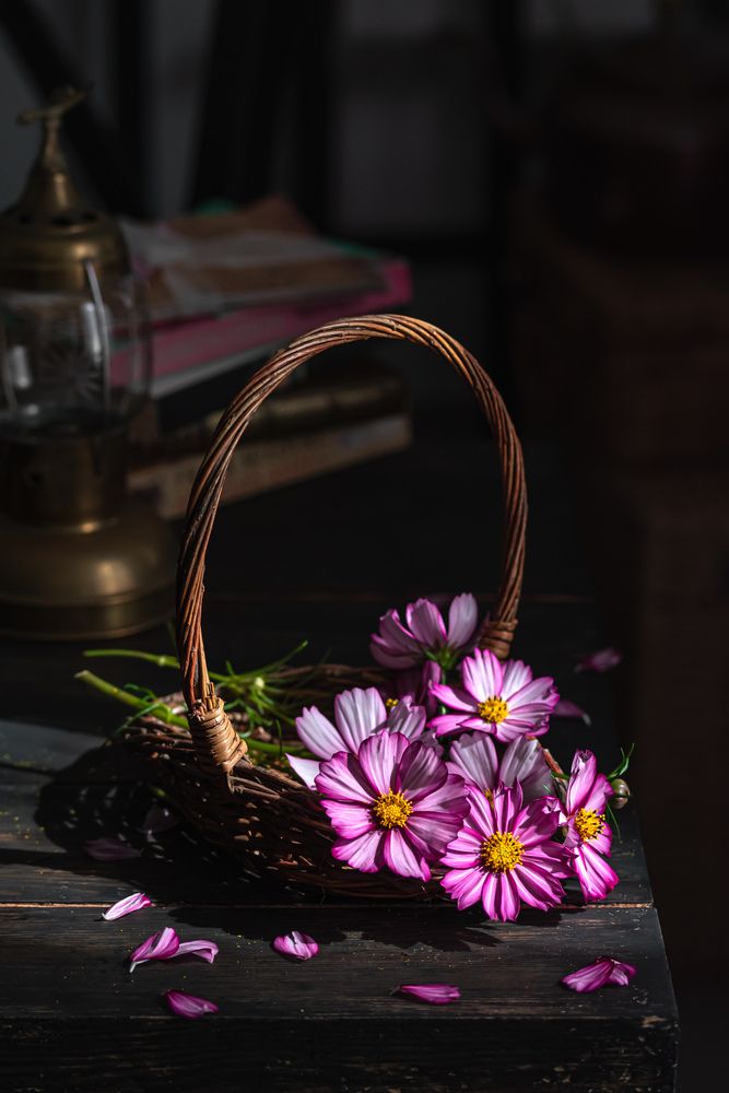 Still life photography