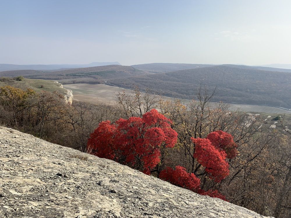 Photograph by Игорь Ребров