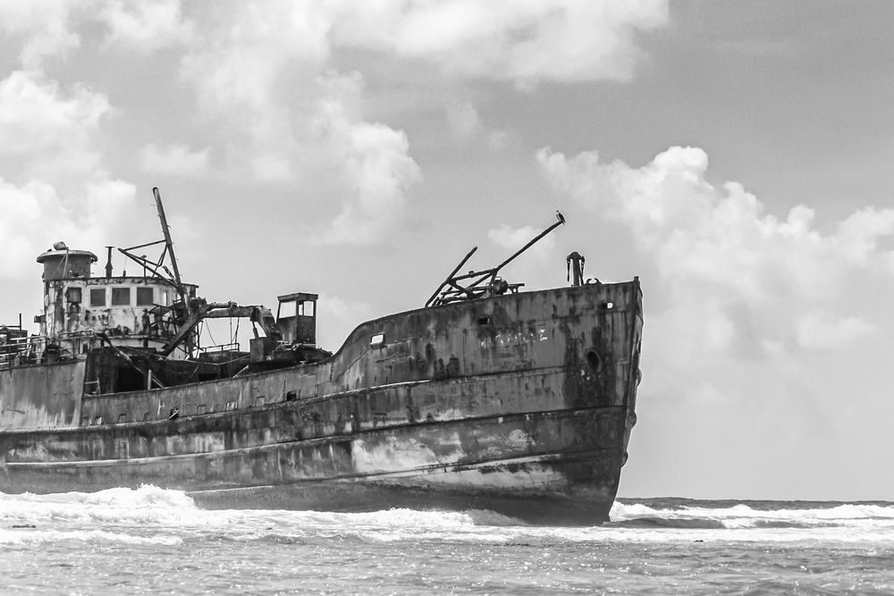 Photograph by Diego Santos