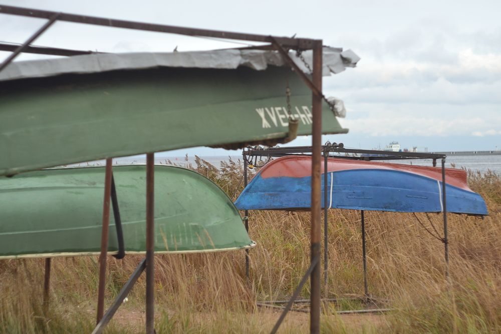 Photograph by Игорь Блинов