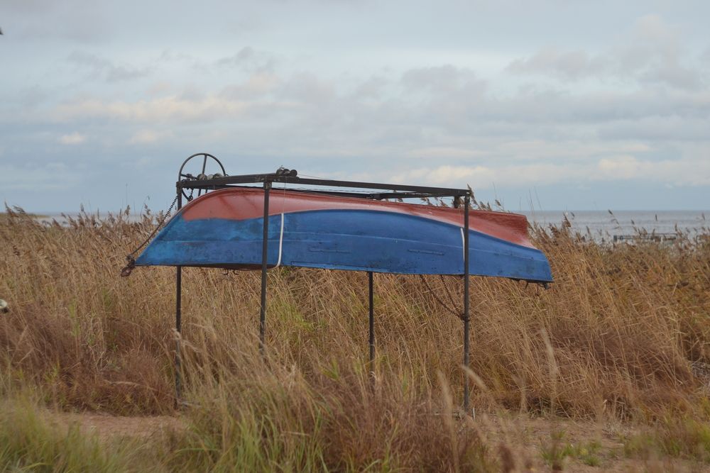 Photograph by Игорь Блинов