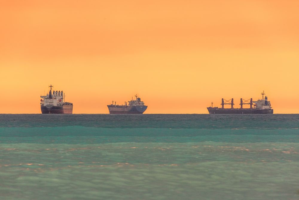 Фотография автора Галина Шепелева