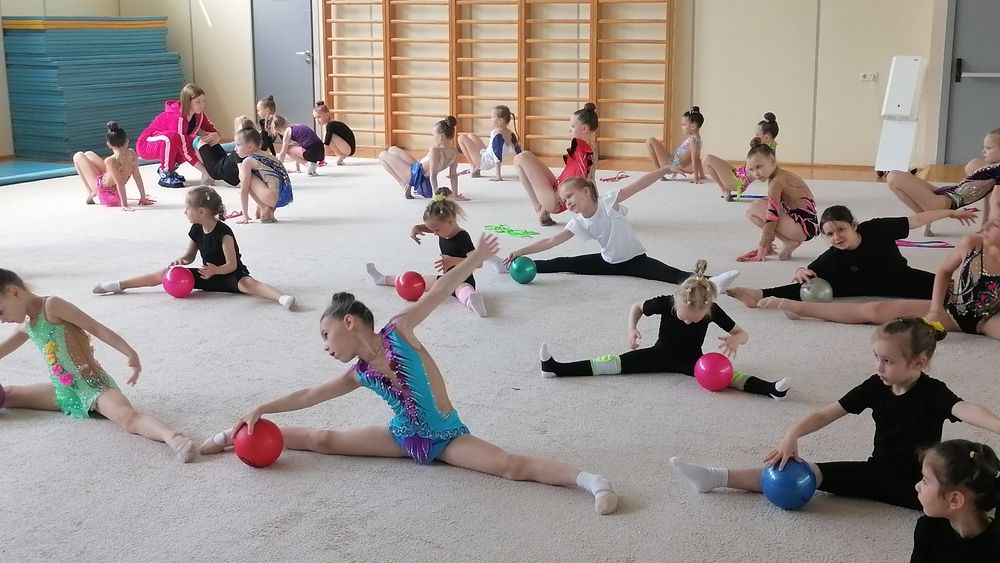 Спортивный клуб и художественная гимнастика.