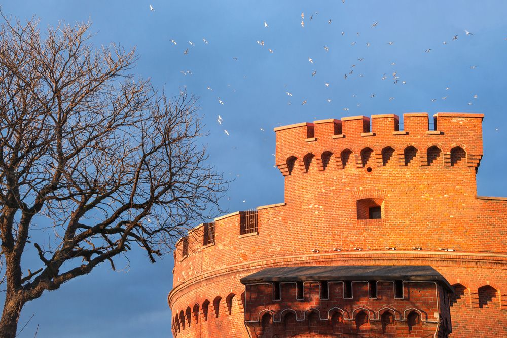 Photograph by Сипаева Катерина