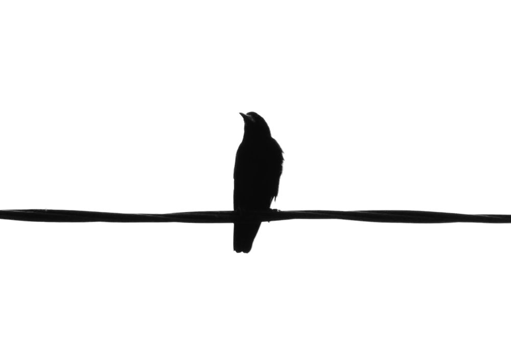 Фотография автора Анна Рванцева