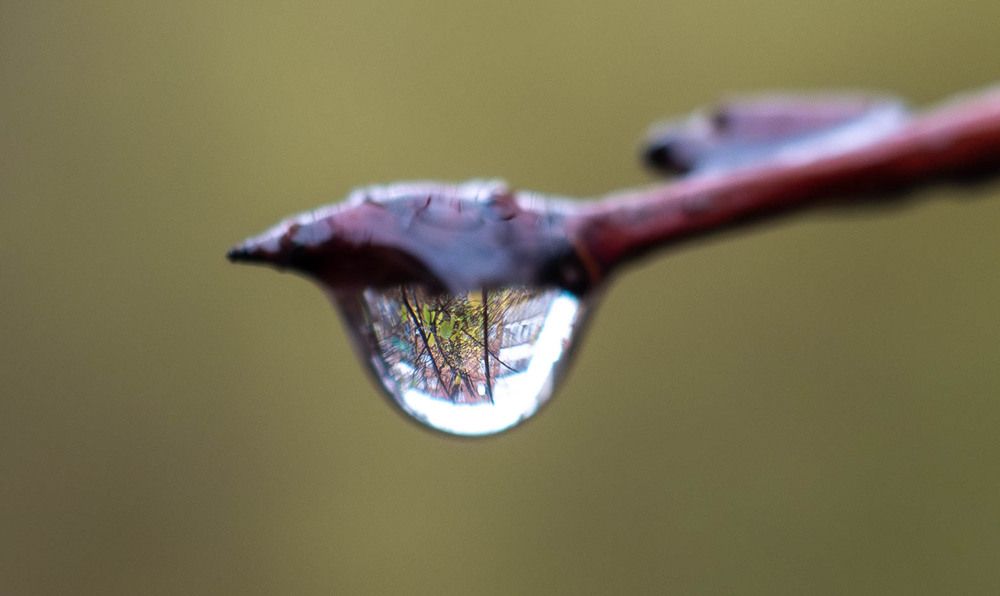 Photograph by Anna Rvanzeva