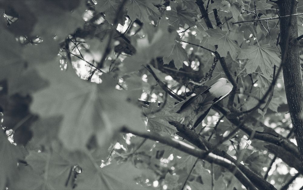 Фотография автора Анна Рванцева