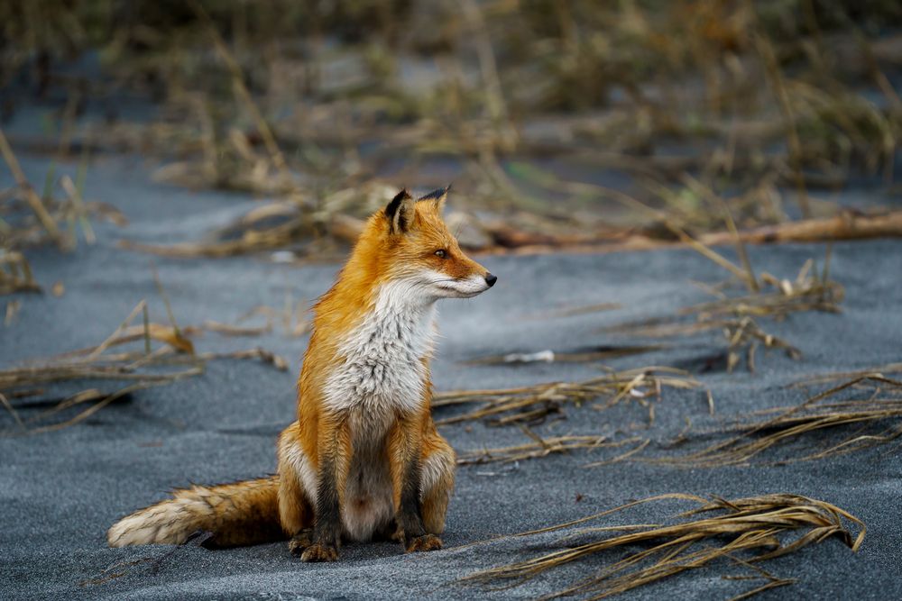 Photograph by Ilya Marchenko