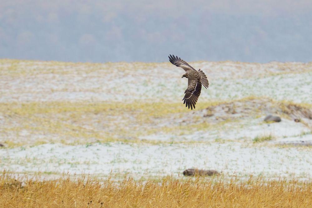 Photograph by Ilya Marchenko