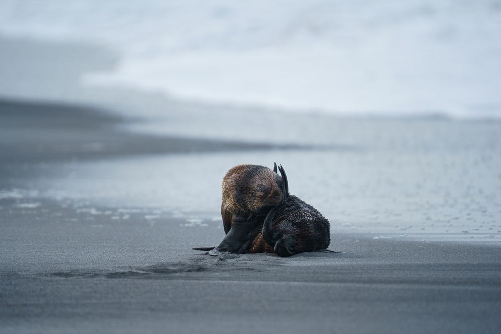 Photograph by Ilya Marchenko