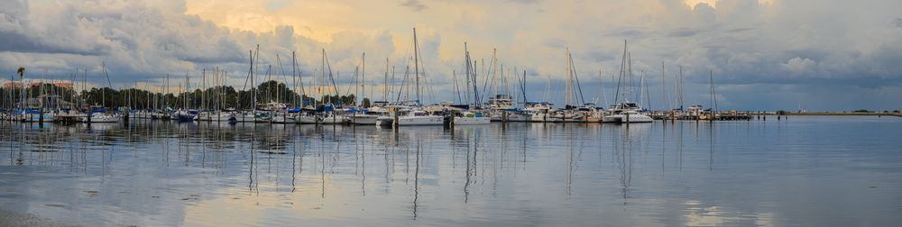 Photograph by Susie Castellano