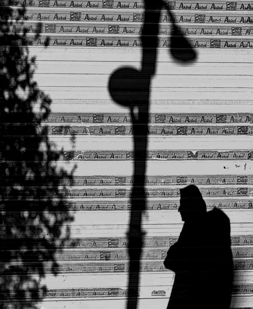Фотография автора Masoud Hajiebrahimi