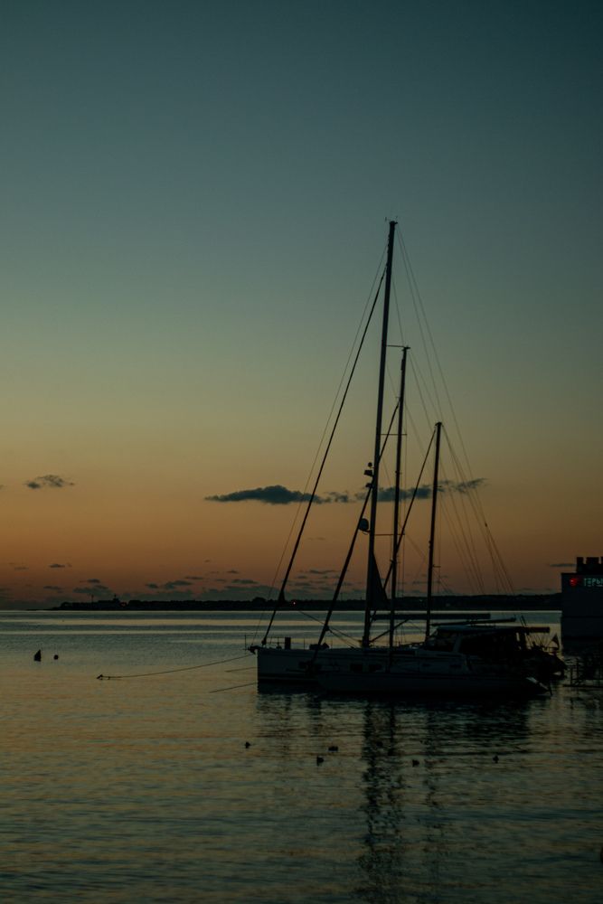 Photograph by Magic Helios