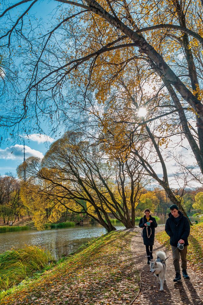 Атмосферный образ золотой осени