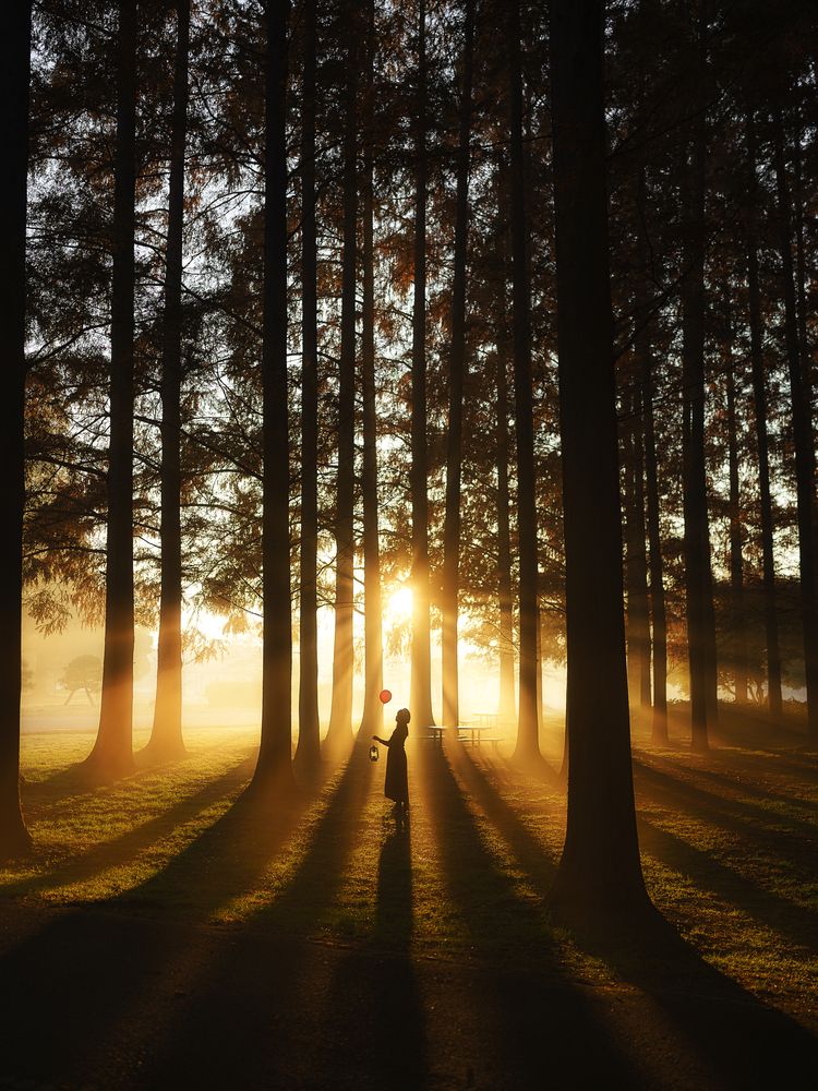 Photograph by i_ ha__to