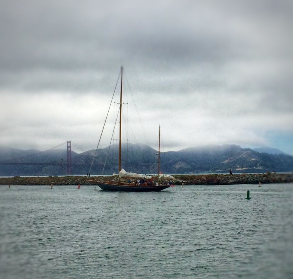 Фотография автора Татьяна Мичу-Николаевич